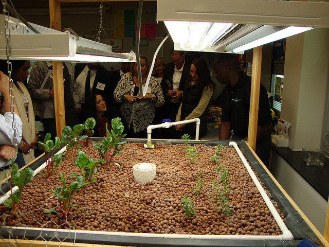 Participants visited the King Science and Technology Magnet Center school in North Omaha to learn about Whispering Roots' efforts at promoting aquaponics to provide healthy foods in urban and rural communities