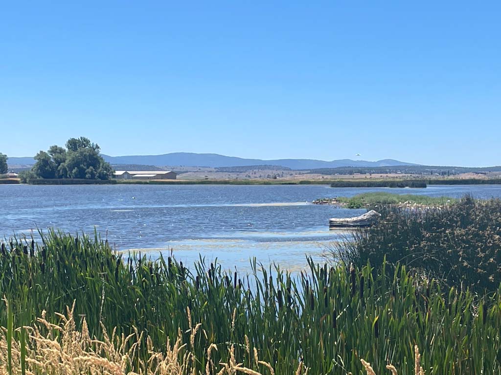Alturas_2